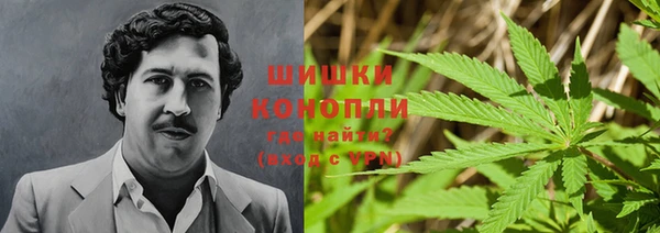крисы Каменногорск