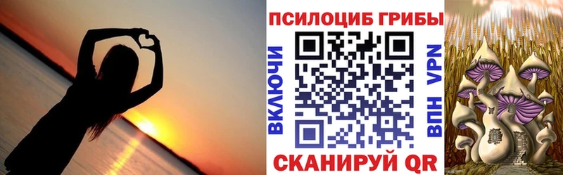 Купить  Гремячинск  Псилоцибиновые грибы мицелий 