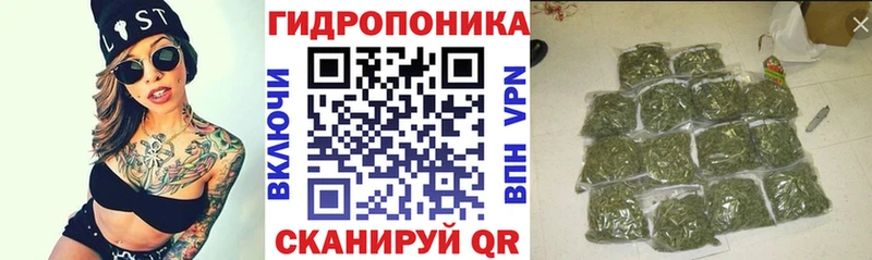 Бошки Шишки SATIVA & INDICA Гремячинск