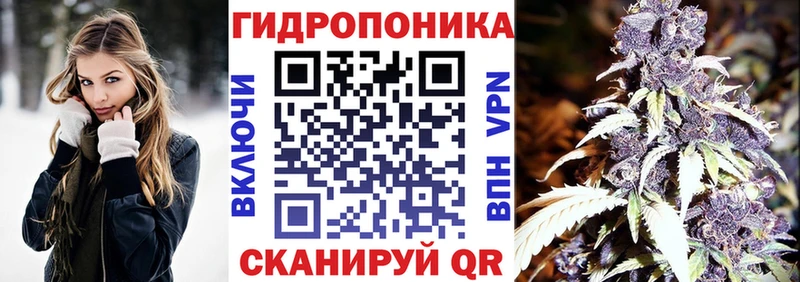 Бошки Шишки Bruce Banner Купить Гремячинск